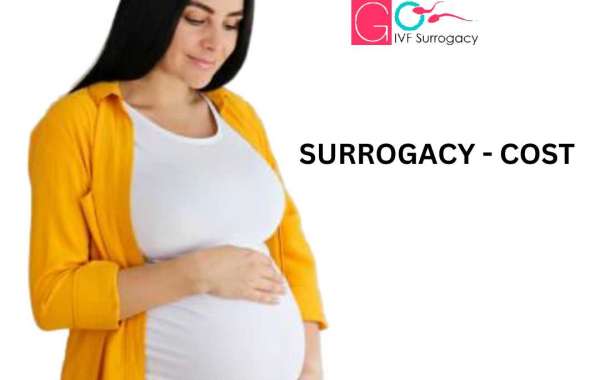 How much does GO IVF SURROGACY' surrogacy in Chennai India cost?